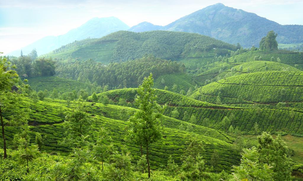 Elysium Garden Hotel Munnar Bagian luar foto