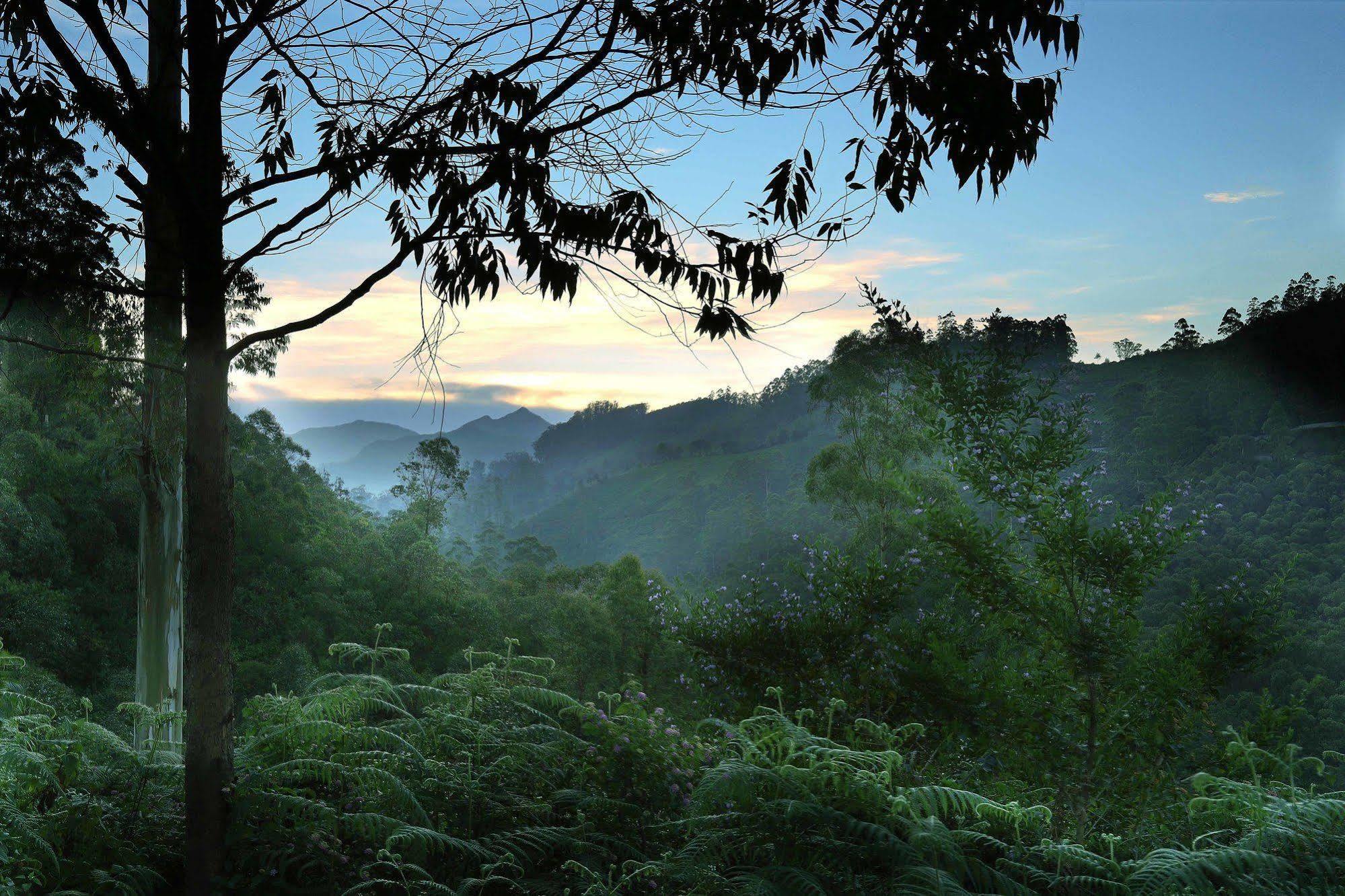 Elysium Garden Hotel Munnar Bagian luar foto